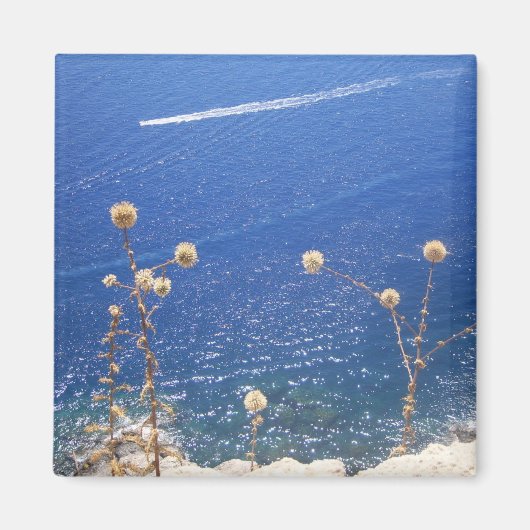 Griechischer Blaumeer-Magnet Magnet (Vorne)