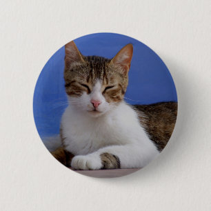 Griechischer Katzenknopf Button
