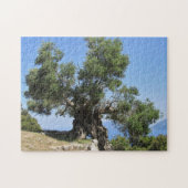 Griechischer Olivenbaum (Kefalonia) Puzzle (Horizontal)