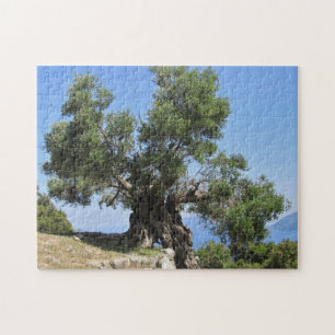 Griechischer Olivenbaum (Kefalonia) Puzzle