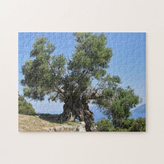 Griechischer Olivenbaum (Kefalonia) Puzzle (Horizontal)
