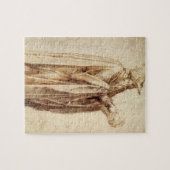 Griechischer Philosoph mit menschlichem Schädel vo Puzzle (Horizontal)