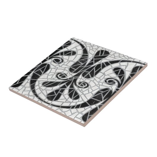 Griechischer schwarzer Marmor Fliese (Seite)