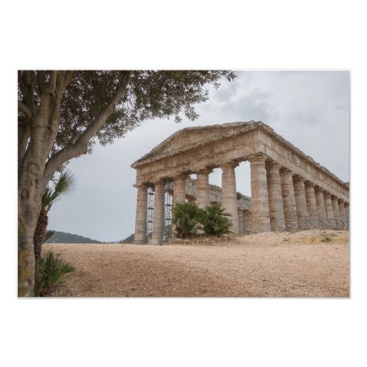 Griechischer Tempel in Segesta, Sizilien Fotodruck (Vorne)