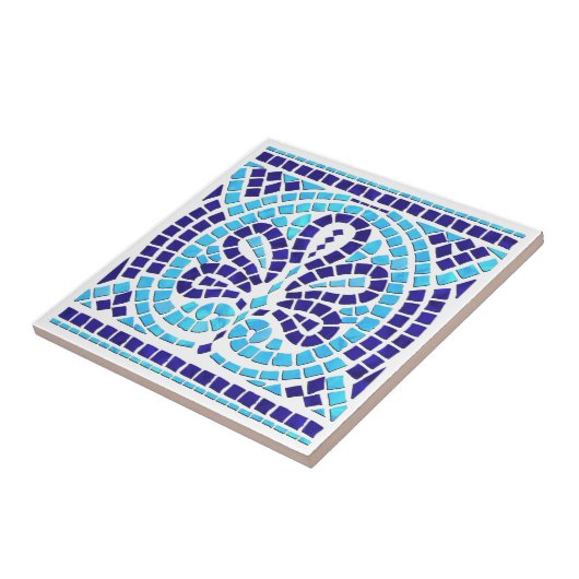 Griechisches Mosaikmuseum Fliese (Seite)