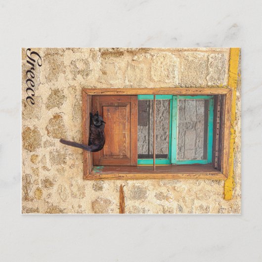 Griechkatze Postkarte (Vorderseite)