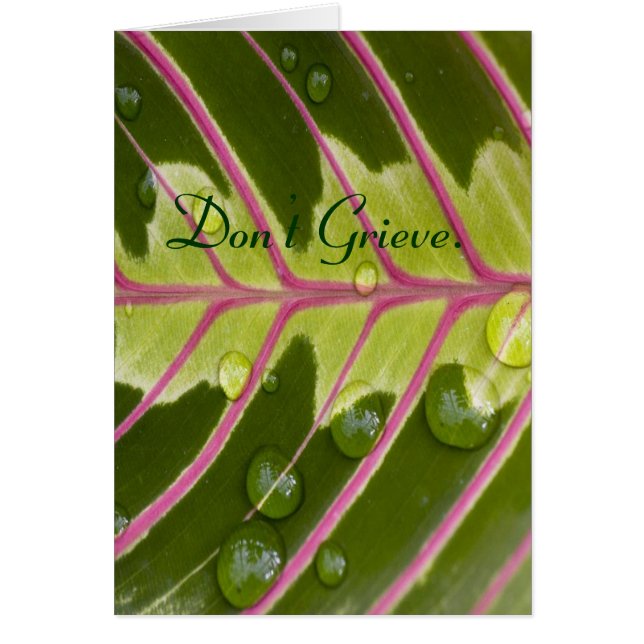 Grieve nicht. (Vorne)