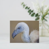 Griff Postcard Postkarte (Stehend Vorderseite)