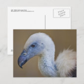Griff Postcard Postkarte (Vorne/Hinten)