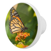 Griff von Phototür eines Schmetterlinges (Rechts)