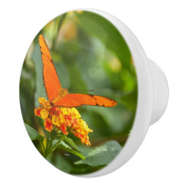 Griff von Phototür eines Schmetterlinges auf einer