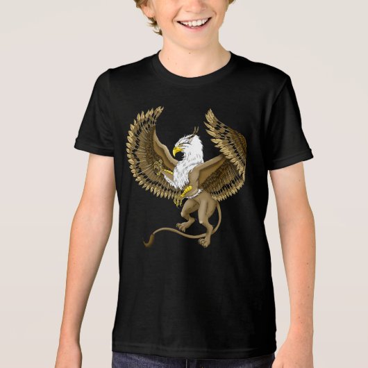 Griffin Fantasy Griffin Mythology Tri-Blend Shirt (Vorderseite)