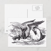 Griffin Postkarte (Vorne/Hinten)
