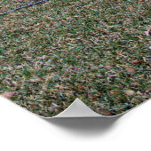 Griffith Park House Poster (Ecke)