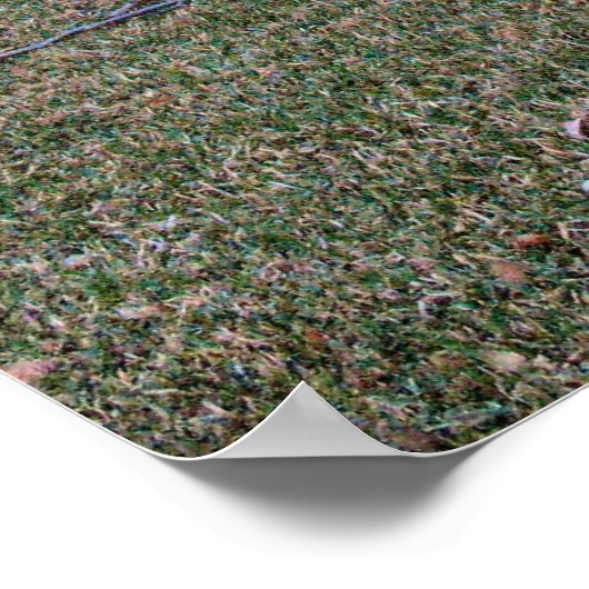 Griffith Park House Poster (Ecke)