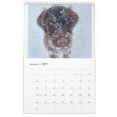 Griffology 2024! kalender (Jan 2027)