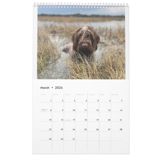 Griffology 2024! kalender (Mär 2026)