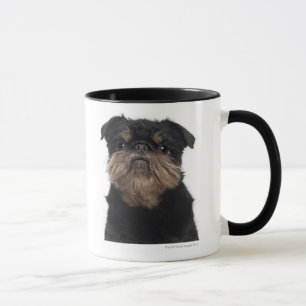 Griffon Bewohner von Brüssel Nahaufnahme Tasse
