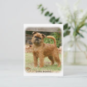 Griffon Bruxellois 9Y406D-078 Postkarte (Stehend Vorderseite)