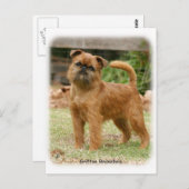 Griffon Bruxellois 9Y406D-078 Postkarte (Vorne/Hinten)