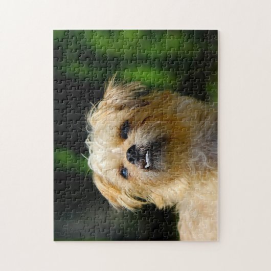 Griffon Dog Jigsaws. Puzzle (Vertikal)