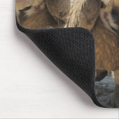 Griffon Geier Mousepad (Ecke)