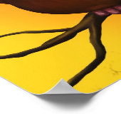 Griffon-Geier Poster (Ecke)