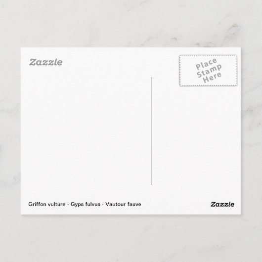 Griffon-Geier Postkarte (Rückseite)