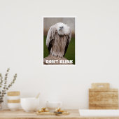 Griffon Vulture, blinzelt nicht Poster (Küche)