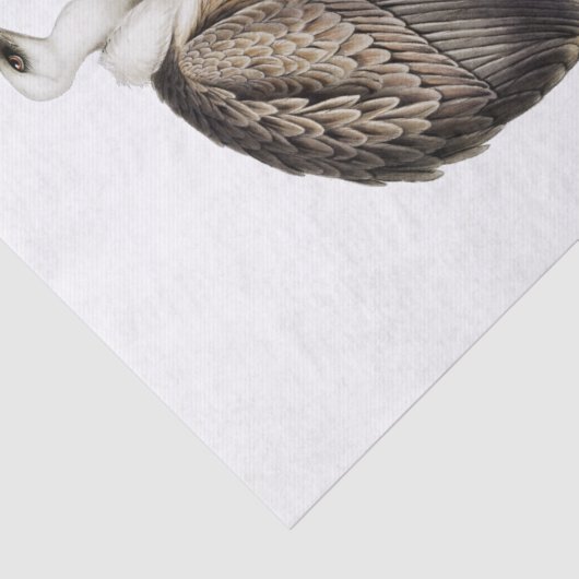 Griffon Vulture Decoupage Seidenpapier (Ausschnitt)