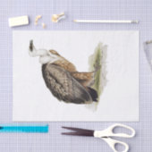 Griffon Vulture Decoupage Seidenpapier (Handwerk)