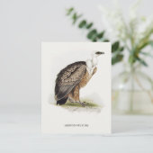 Griffon Vulture Postkarte (Stehend Vorderseite)