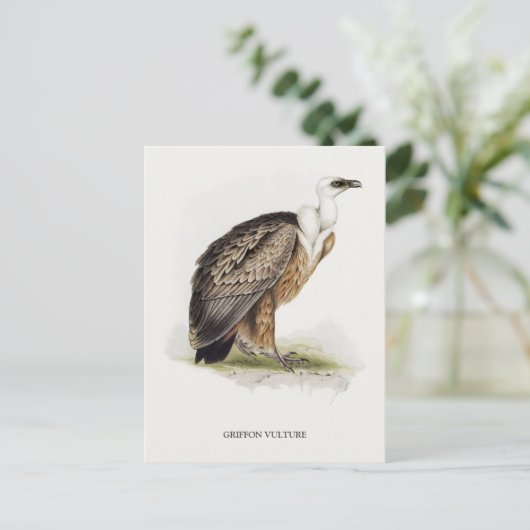 Griffon Vulture Postkarte (Stehend Vorderseite)
