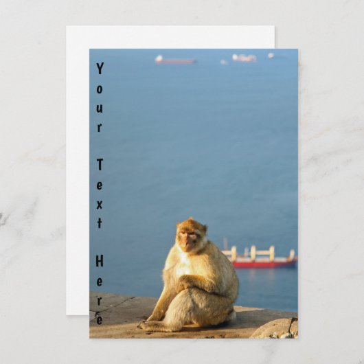 Grillape in Gibraltar (Vorne/Hinten)