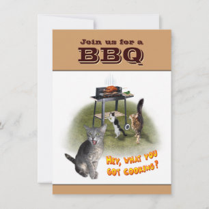 Grillen Einladung bei Katzen