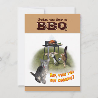 Grillen Einladung bei Katzen