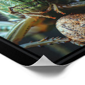 Grillen Tier Grille 9 Poster (Ecke)