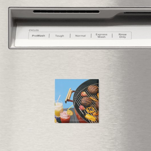 Grillgerichte Magnet (In Situ (Geschirrspüler))