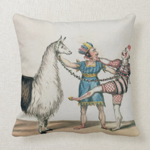 Grimaldi und das Alpaka, in der populären Kissen