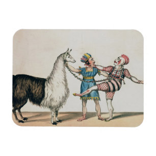 Grimaldi und das Alpaka, in der populären Magnet