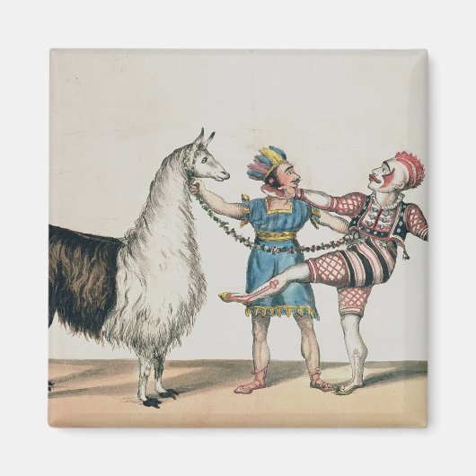 Grimaldi und die Alpaca im Pantomime Magnet (Vorne)