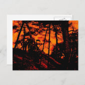 Grimmiger Sensenmann im Beängstigenden Orangenwald Postkarte (Vorne/Hinten)