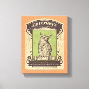 Grimoires Owl Leinwanddruck