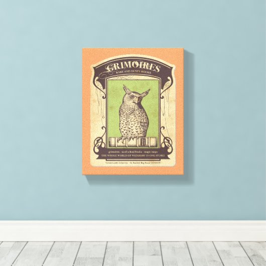 Grimoires Owl Leinwanddruck (Insitu (Holzboden))