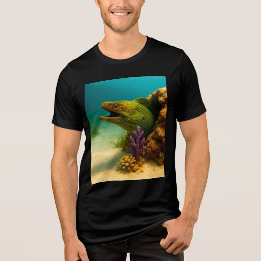 Grin des Riffs Tri-Blend Shirt (Vorderseite)