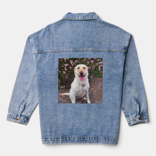 Grin Jeansjacke (Rückseite)