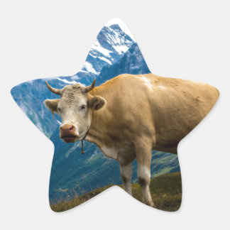 Grindelwald Kuh - Berner Alpen - Schweiz Stern-Aufkleber