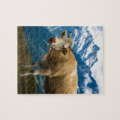 Grindelwald Kuh - Bernese Alpen - die Schweiz Puzzle (Horizontal)