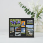 Grindelwald Postkarte (Stehend Vorderseite)