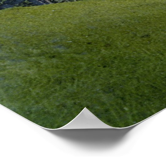 Grindelwald und Wetterhorn Poster (Ecke)